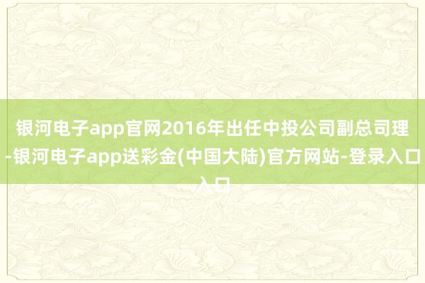 银河电子app官网2016年出任中投公司副总司理-银河电子app送彩金(中国大陆)官方网站-登录入口